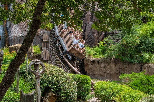 Orlando Florida Ağustos 2019 Hayvanlar Alemi Nde Müthiş Expedition Everest — Stok fotoğraf