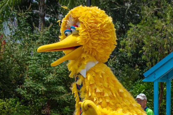 Orlando Florida Agosto 2019 Vista Superior Big Bird Rua Sésamo — Fotografia de Stock