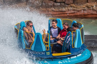Orlando, Florida. 28 Ağustos 2019. Seaworld'de Infinity Falls'ta büyük bir sıçrama ile eğlenen insanlar (104).