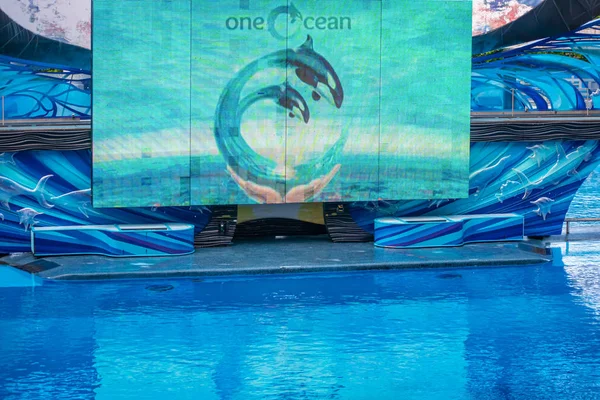 Orlando Florida August 2019 One Ocean Show Screen Seaworld 152 — Stockfoto