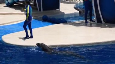 Port Orange, Florida. 05 Eylül 2019. Açık mavi bulutlu arka plan ponce de Leon Inlet panoramik görünümü.