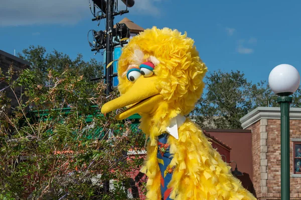 Orlando Florida Oktober 2019 Big Bird Sesame Street Party Parade — Stockfoto