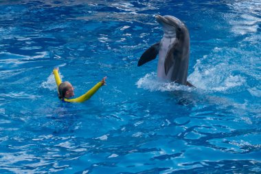 Orlando, Florida. 30 Eylül 2019. Yunus Günleri Şovu 'nda yunusla oynayan kadın eğitmen (28)).