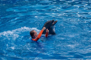 Orlando, Florida. 30 Eylül 2019. Yunus Günleri Gösterisi 'nde yunusla oynayan antrenör (7)).