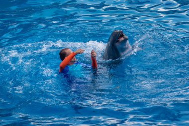 Orlando, Florida. 30 Eylül 2019. Seaworld 'de Yunus Günleri Gösterisi' nde yunusla oynayan antrenör (8)).