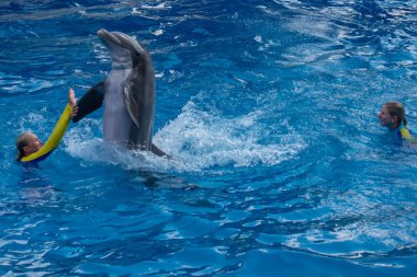 Orlando, Florida. 30 Eylül 2019. Seaworld 'de Yunus Günleri Gösterisinde kadın eğitmen yunusla oynuyor (24)