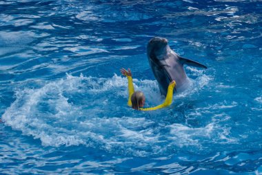 Orlando, Florida. 30 Eylül 2019. Yunus Günleri Gösterisi 'nde yunusla oynayan kadın eğitmen (25)).