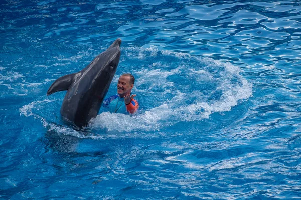 Orlando Florida Setembro 2019 Treinador Jogando Com Golfinho Dolphin Days — Fotografia de Stock