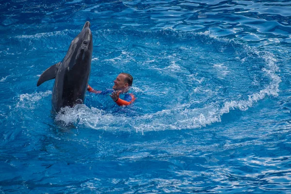 Orlando Florida Setembro 2019 Treinador Jogando Com Golfinho Dolphin Days — Fotografia de Stock