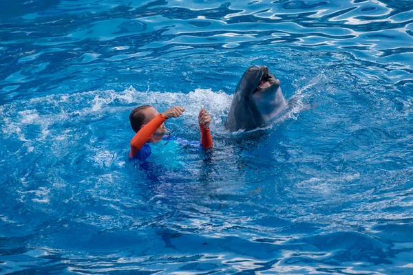 Orlando Florida Setembro 2019 Treinador Jogando Com Golfinho Dolphin Days — Fotografia de Stock