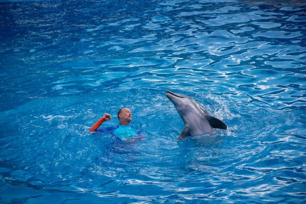 Orlando Florida Setembro 2019 Treinador Jogando Com Golfinho Dolphin Days — Fotografia de Stock