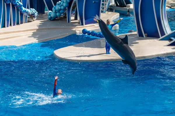 Orlando Florida September 2019 Kvinnlig Tränare Leker Med Delfin Dolphin — Stockfoto