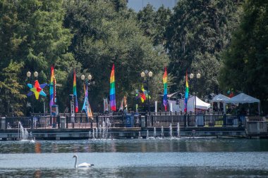 Orlando, Florida. 12 Ekim 2019. Orlando Gölü 'nün şehir merkezindeki Eola Parkı' nda 