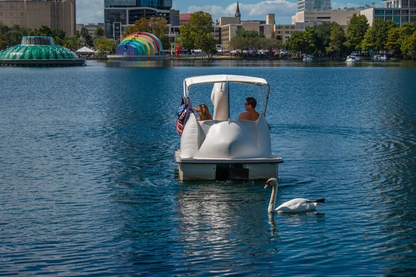 Orlando Florida October 2019 Swan Boats Swan Lake Eola Park — ストック写真