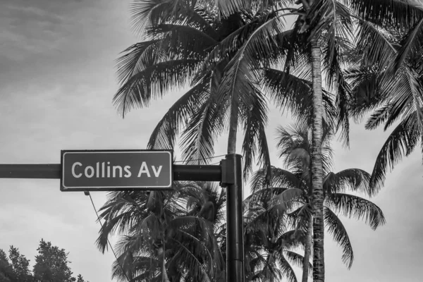 Miami Beach Florida Července2019 Horní Pohled Collins Ave Znak — Stock fotografie