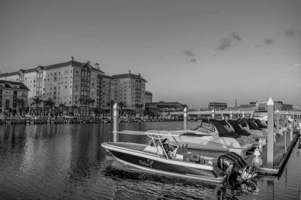 Tampa Bay Florida April 2019 Luxury Boats Harbour Island Lightblue — Stock Photo, Image