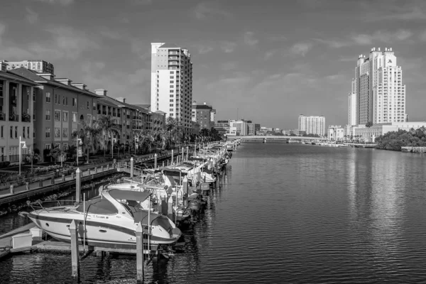 Tampa Bay Florida April 2019 Luxusboote Hafen Insel Dockside Auf — Stockfoto