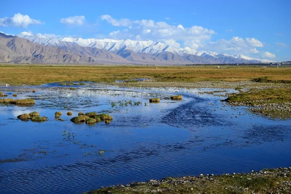 Piękne złote łąki z rzeki w Taxkorgan śniegiem pokryte górami, Xinjiang, Chiny — Zdjęcie stockowe