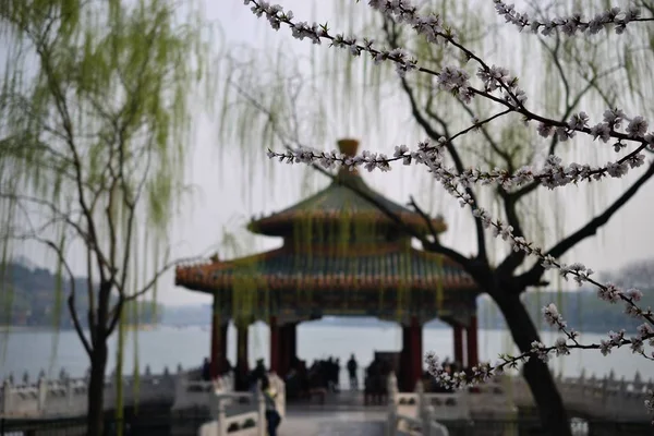 Brug en lake in Beijing Peking, China — Stockfoto