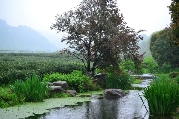 Kleine beek naast Chinese thee velden in Hangzhou, Zhejiang, China — Stockfoto