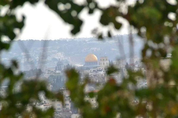 圆顶岩石在树之间, 耶路撒冷的圣殿山 — 图库照片