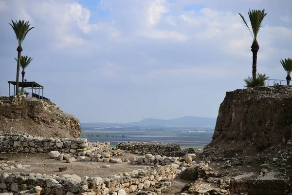 Palmiye ağaçlarında antika Megiddo Armageddon sit alanı, Jezreel Vadisi, alt Galilee, İsrail — Stok fotoğraf