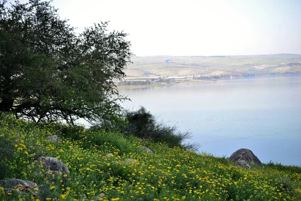 View of the sea of Galilee Kinneret lake from Mt. Arbel mountain, beautiful lake landscape, Israel, Tiberias — Stock Photo, Image