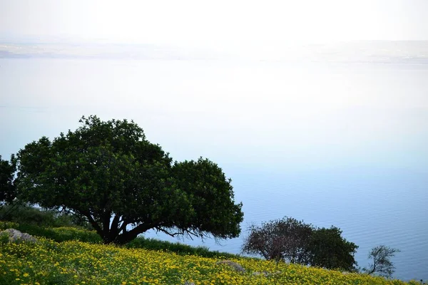 Uitzicht op de zee van Galilea Kinneret meer van Mt. Arbel bergen, prachtig meer landschap, Israël, Tiberias — Stockfoto