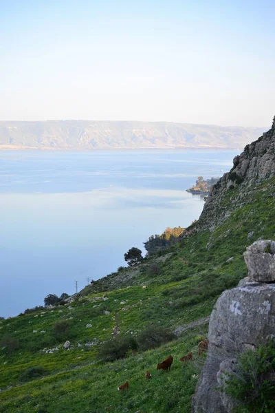 Widok na jezioro morze Kinneret Galilei z góry Mt. Arbel, piękne jezioro krajobraz, Izrael, Tiberias — Zdjęcie stockowe