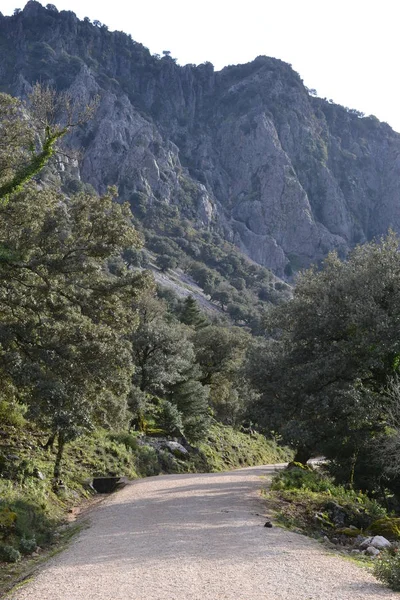 Wandern im Naturpark Sierra de Grazalema, Provinz Cadiz, Andalusien, Spanien, Richtung Benamahoma — Stockfoto