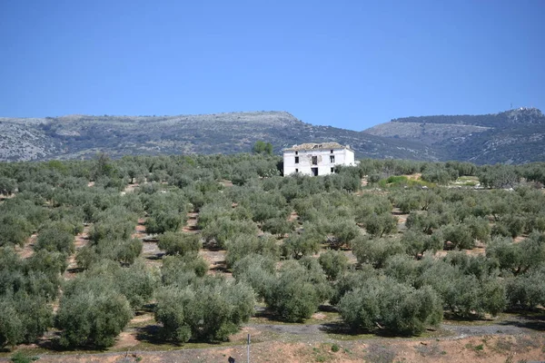 Parku przyrody Sierra Subbetica, w Andaluzji, Via Verde la Subbetica w Cabra, Cordoba, Andaluzja, Południowa Hiszpania — Zdjęcie stockowe
