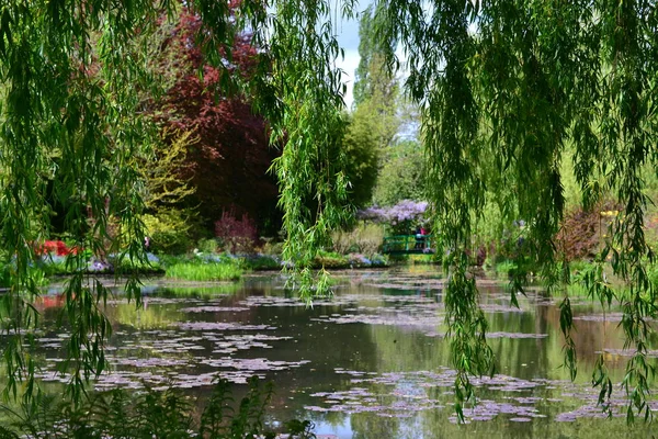 Rose garden Francji Giverny Claude Monet w wiosenne, kwiaty i jeziora morze — Zdjęcie stockowe