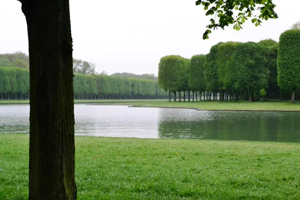 Park Versailles, Fransa: bahçeleri Versailles Sarayı'nın yakın: Paris, Fransa. — Stok fotoğraf