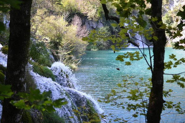 Plitvice Lakes National Park, turquoise lakes and waterfalls in Croatia - UNESCO World Heritage — Stock Photo, Image