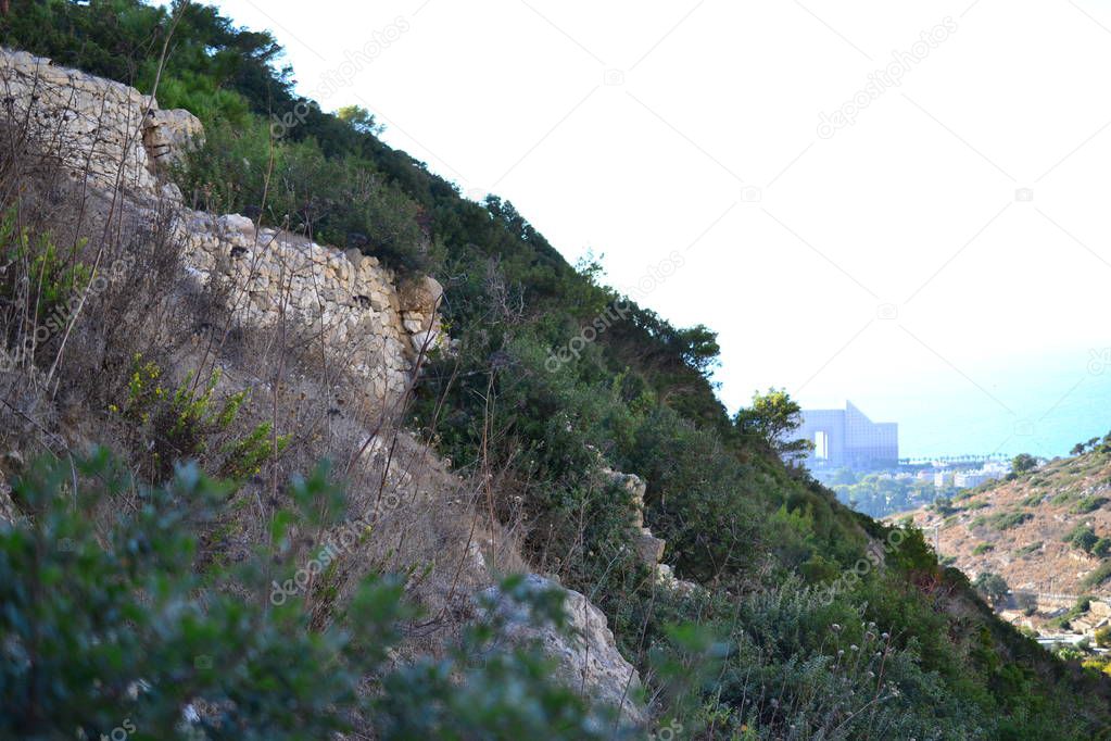 Wadi Lotem and Siah in Haifa Kababir and view of Mediterranean Sea. Israel