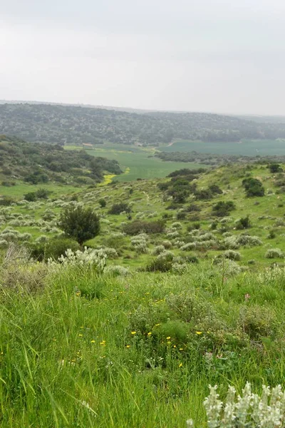 Vista sobre a paisagem bíblica verde Beit Guvrin Maresha durante o inverno, Israel — Fotografia de Stock
