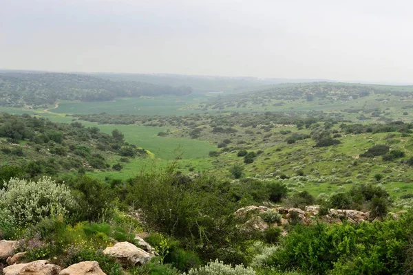 Vista sobre el paisaje bíblico verde Beit Guvrin Maresha durante el invierno, Israel —  Fotos de Stock