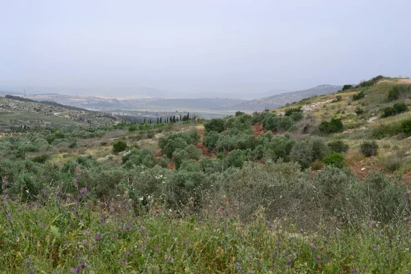 Jesus Trail - hiking through Galilee countryside in spring time, from Nazareth to Sea of Galilee, Capernaum, ISRAEL — Stock Photo, Image