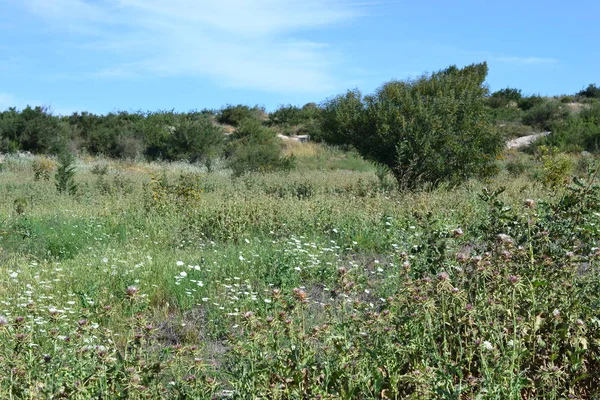 İsa Galilee kırsal bahar zamanında Taberiye Gölü, Capernaum, İsrail için Nasıralı hiking Trail- — Stok fotoğraf