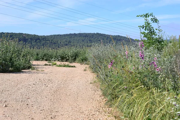 İsa Galilee kırsal bahar zamanında Taberiye Gölü, Capernaum, İsrail için Nasıralı hiking Trail- — Stok fotoğraf