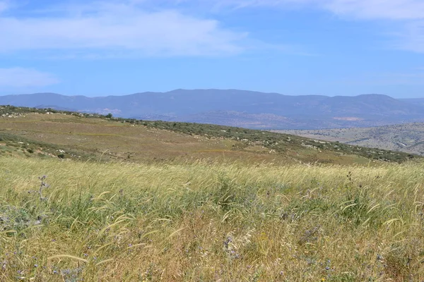 Sendero de Jesús - senderismo por la campiña de Galilea en primavera, desde Nazaret hasta el Mar de Galilea, Cafarnaúm, ISRAEL —  Fotos de Stock