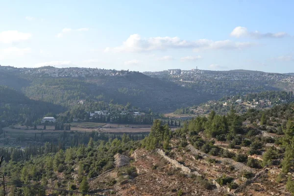 Jerusalem panorama EJN Kerem krajiny a lesa, Izrael — Stock fotografie