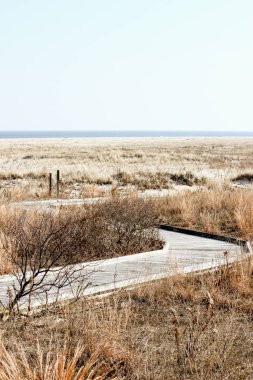 Sandy Hook New Jersey ahşap yolu Atlantik Okyanusu tarafından