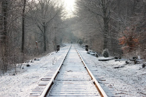 Snowy Winter Scene Rail Road Landscape — Stock Photo, Image