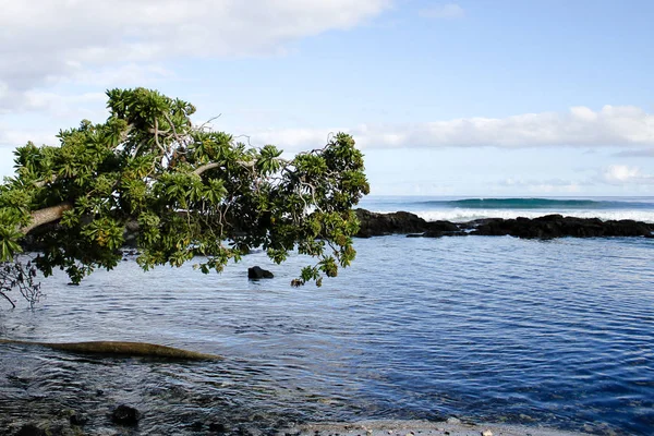 Big Island Hawajach Linii Brzegowej — Zdjęcie stockowe