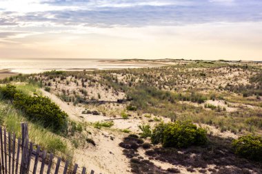 Doğu sahili manzarası