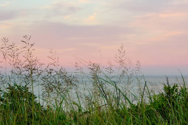 Színes Beach Grass Seascape — Stock Fotó