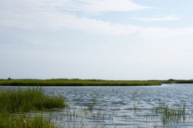 Assateague Adası Milli Seashore 