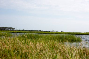 Assateague Adası Milli Seashore 