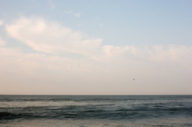 Doğu Yakası Atlantik Okyanusu kıyı